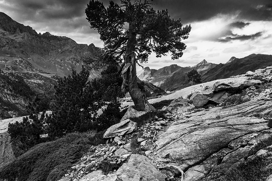 Vallée du Soussouéou, Pyrenäen, Frankreich 2013.